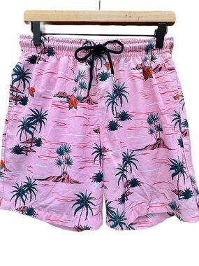 Public Record Mens Swim Shorts Medium Standard Fit Pink Desert Palm AOP